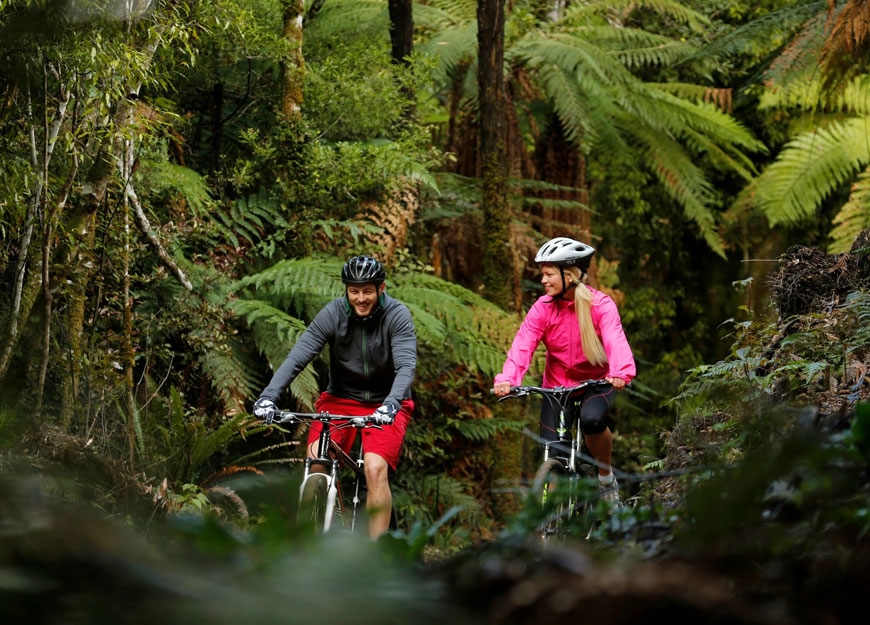 walking/biking track around lake taupo