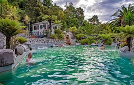 Taupo Debretts 